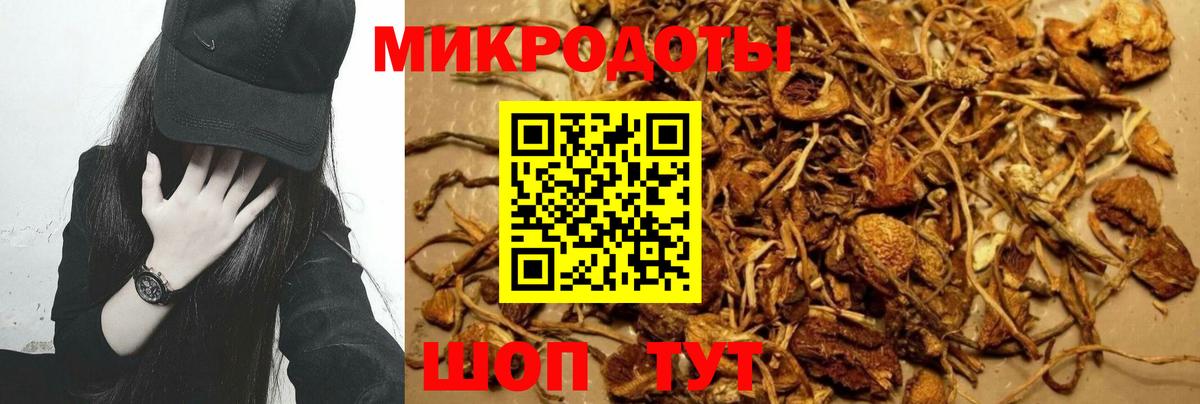 Хабаровск  Псилоцибиновые грибы мухоморы  Вход с VPN 